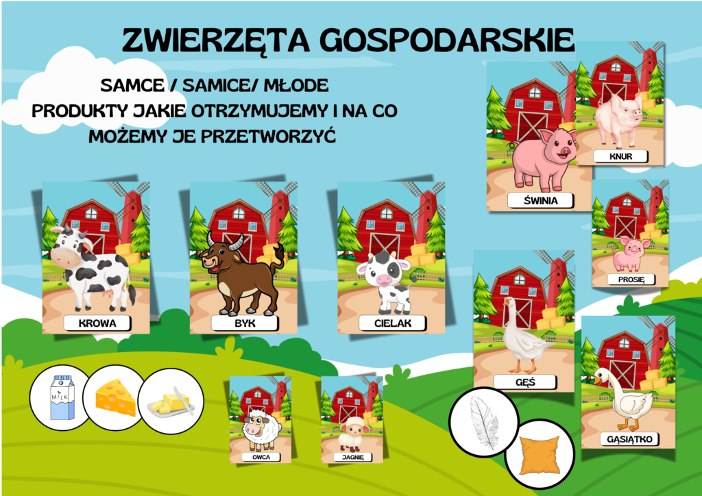 ZWIERZĘTA GOSPODARSKIE / HODOWLANE PAKIET – Pracownia Dydaktyczna
